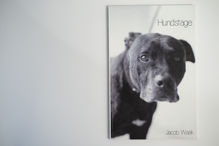 Titelseite: Hundstage Foto: Jacob Waak